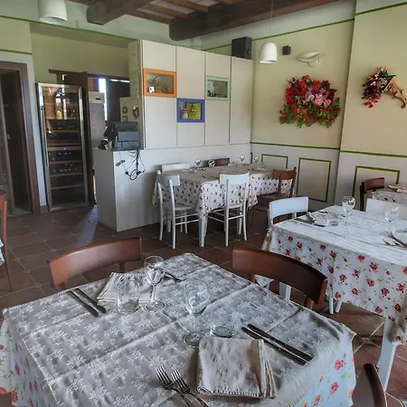 Tatil Evi Holiday Gufo *